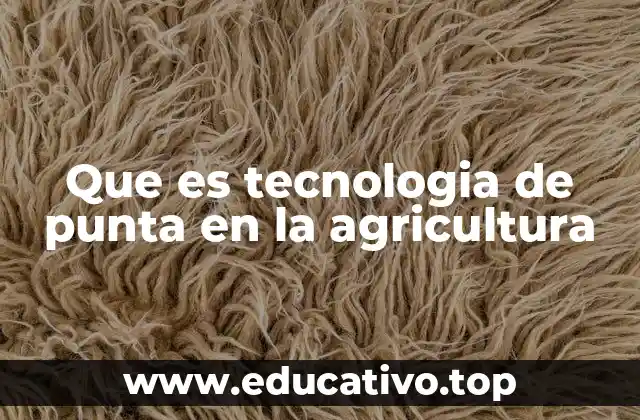 La convergencia de ciencia y campo en la era digital