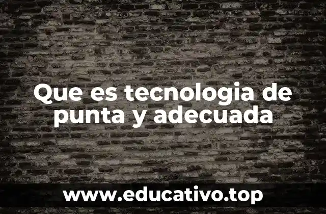 Que es tecnologia de punta y adecuada