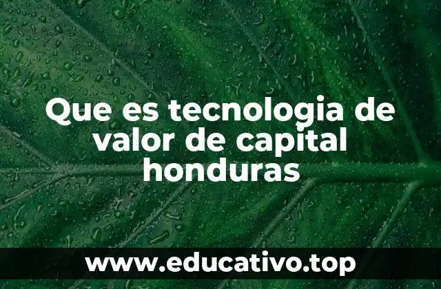 Que es tecnologia de valor de capital honduras