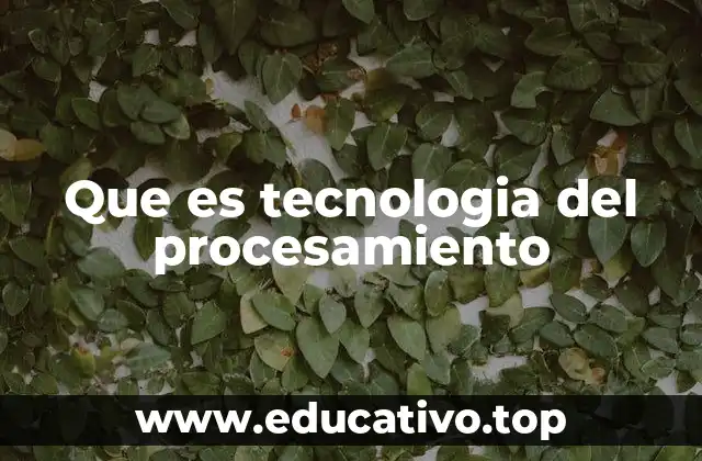 Que es tecnologia del procesamiento