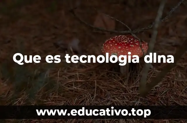 Que es tecnologia dlna