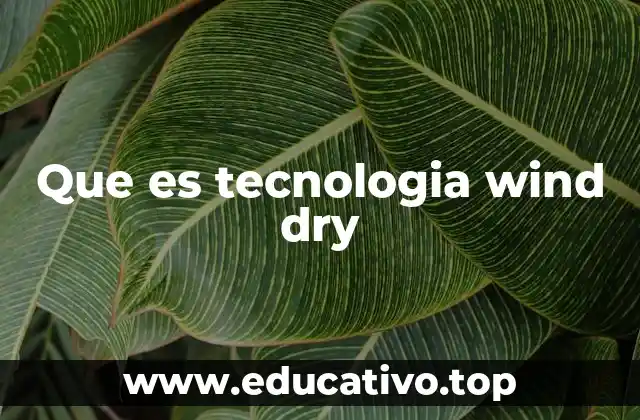 Que es tecnologia wind dry