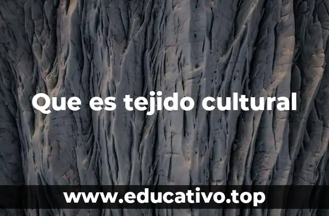 La red de identidad social