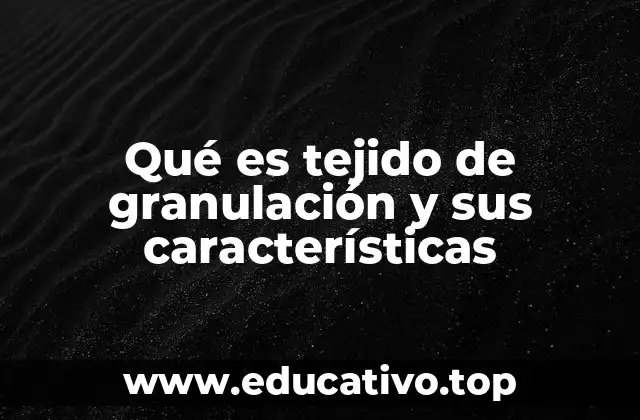 El papel del tejido de granulación en la cicatrización