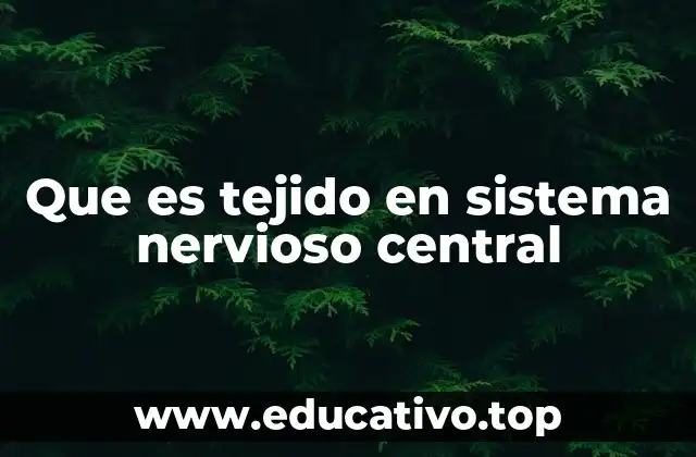 Que es tejido en sistema nervioso central