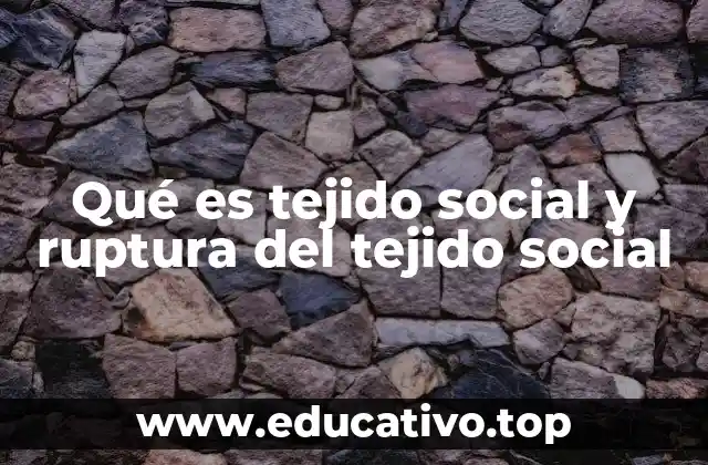 Qué es tejido social y ruptura del tejido social