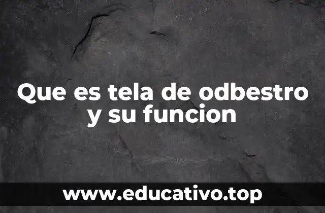 Que es tela de odbestro y su funcion