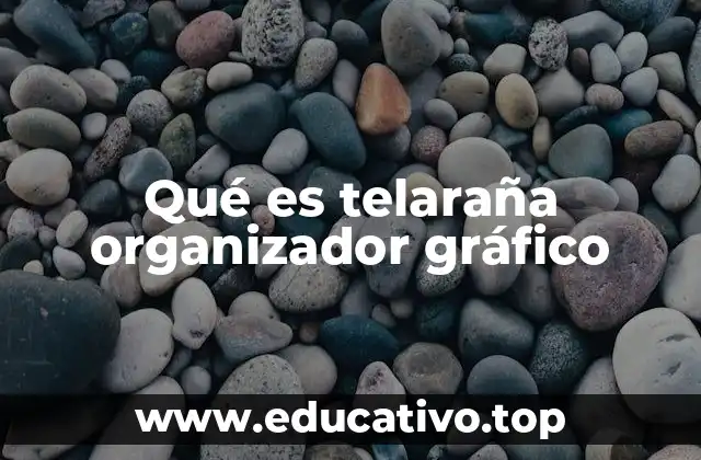 Qué es telaraña organizador gráfico