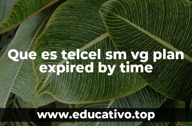 Que es telcel sm vg plan expired by time