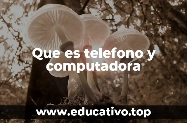 Que es telefono y computadora