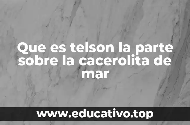 Que es telson la parte sobre la cacerolita de mar