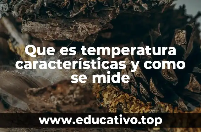 Que es temperatura características y como se mide