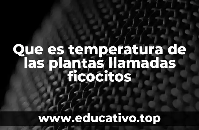 Que es temperatura de las plantas llamadas ficocitos