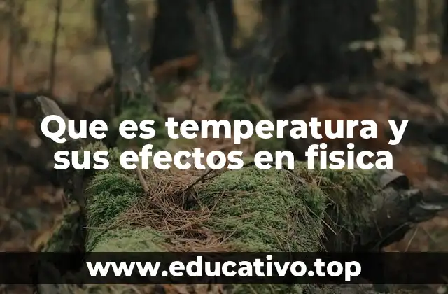 Que es temperatura y sus efectos en fisica