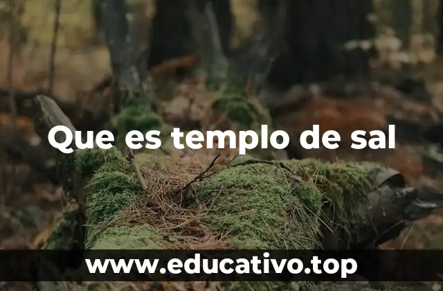 Que es templo de sal