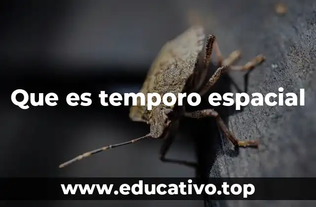 Que es temporo espacial