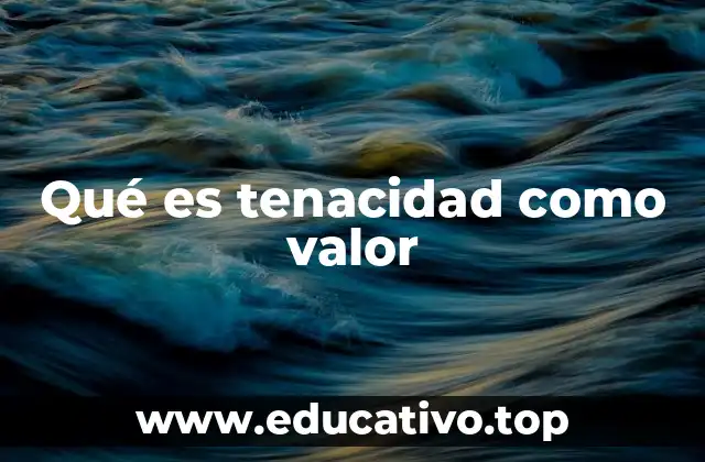 Qué es tenacidad como valor