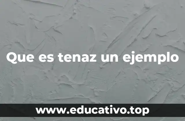 Que es tenaz un ejemplo