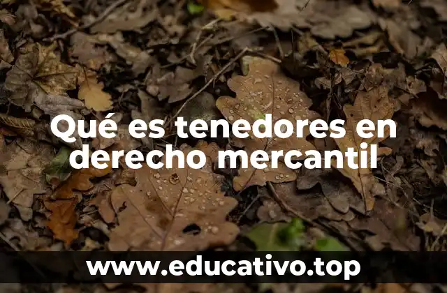 Qué es tenedores en derecho mercantil