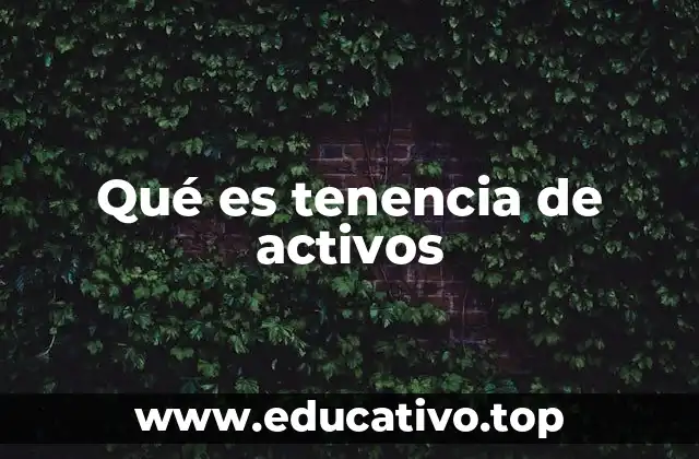 Qué es tenencia de activos