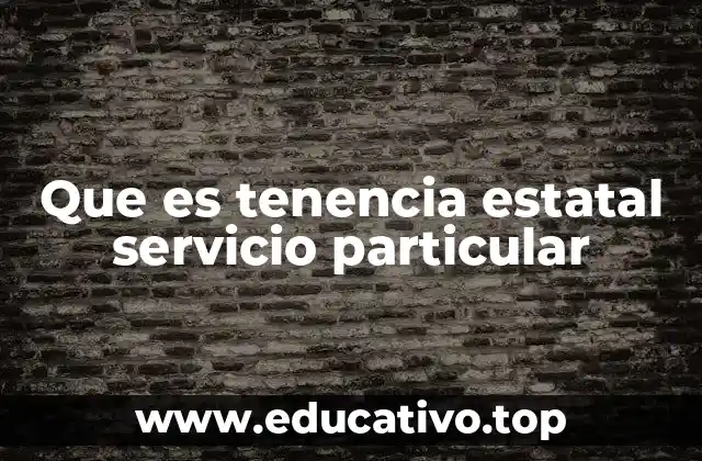 Que es tenencia estatal servicio particular