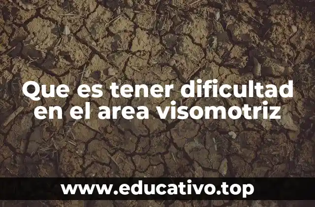 Que es tener dificultad en el area visomotriz