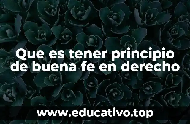 Que es tener principio de buena fe en derecho