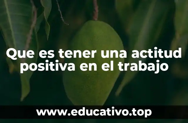 Que es tener una actitud positiva en el trabajo