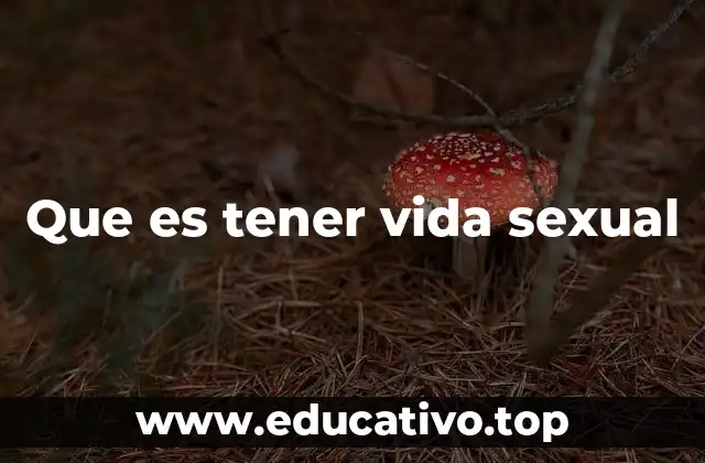 Que es tener vida sexual