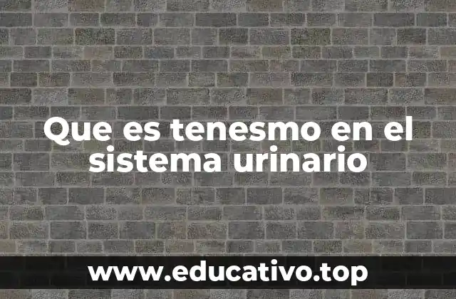Que es tenesmo en el sistema urinario