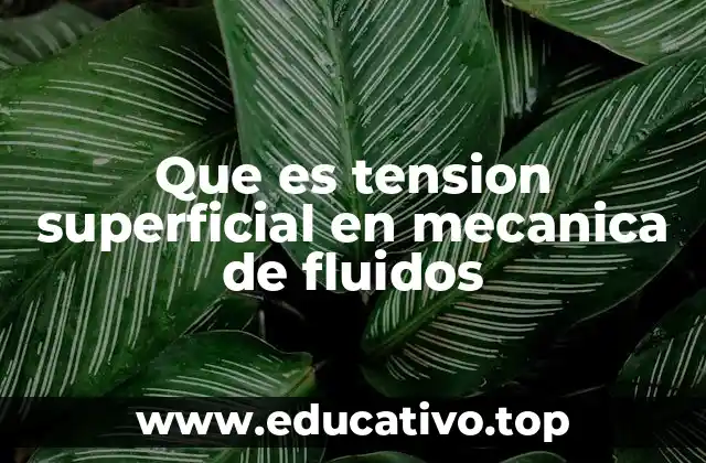 Que es tension superficial en mecanica de fluidos