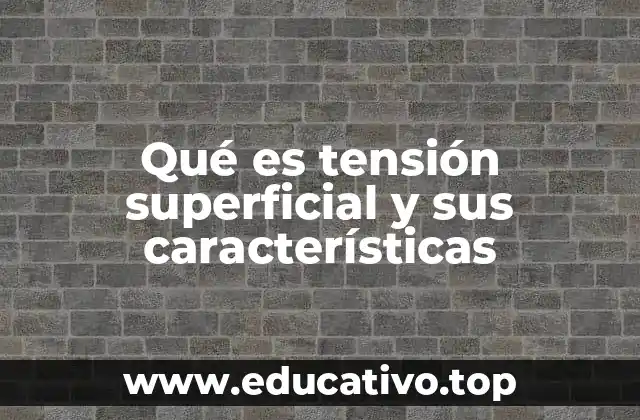 El comportamiento de las moléculas en la superficie líquida