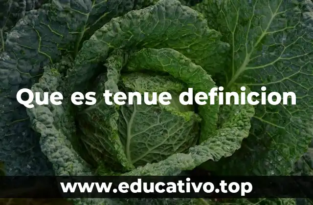 Que es tenue definicion