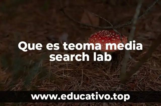 Que es teoma media search lab