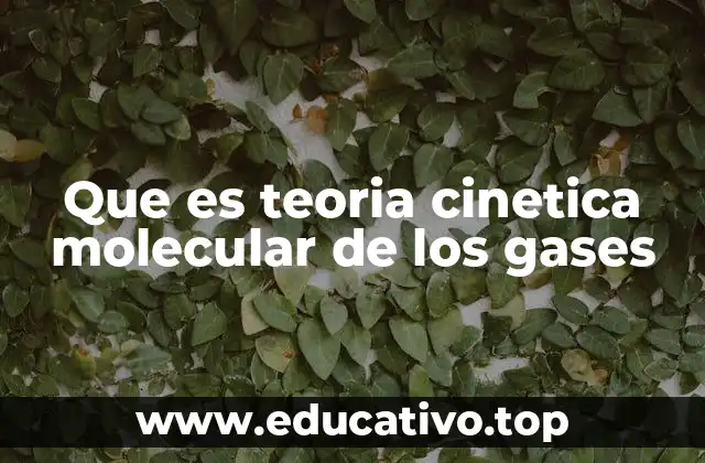Que es teoria cinetica molecular de los gases