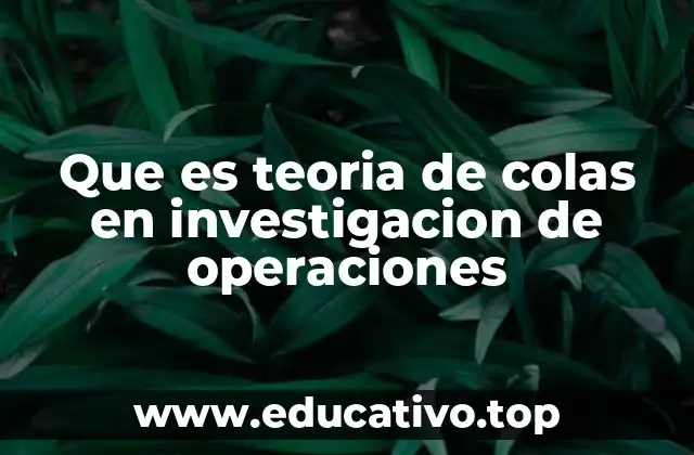 Que es teoria de colas en investigacion de operaciones