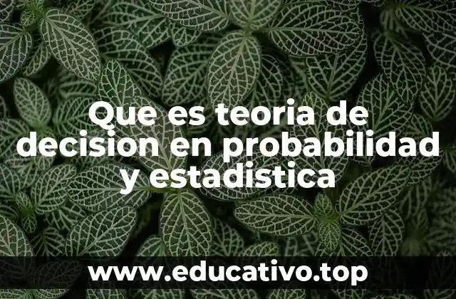 Que es teoria de decision en probabilidad y estadistica