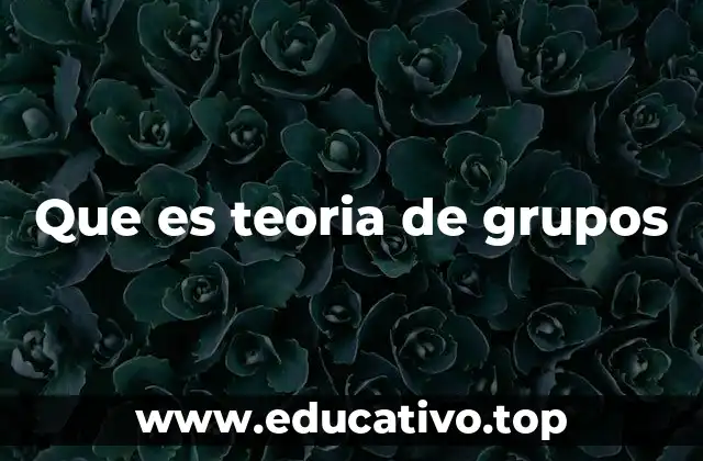 Que es teoria de grupos