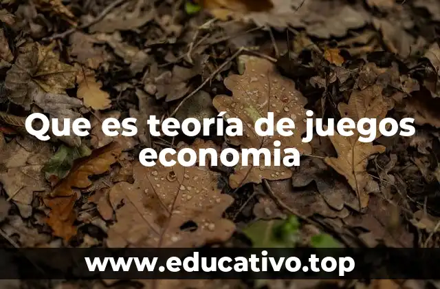 Que es teoría de juegos economia