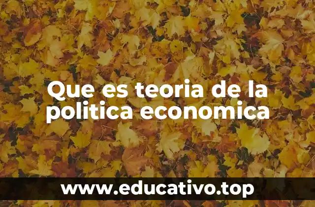 Que es teoria de la politica economica