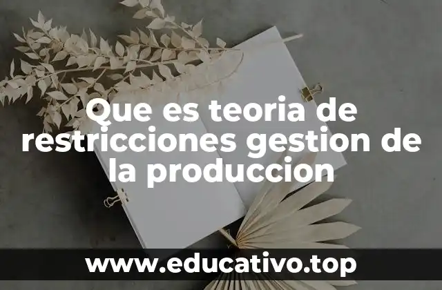 Que es teoria de restricciones gestion de la produccion