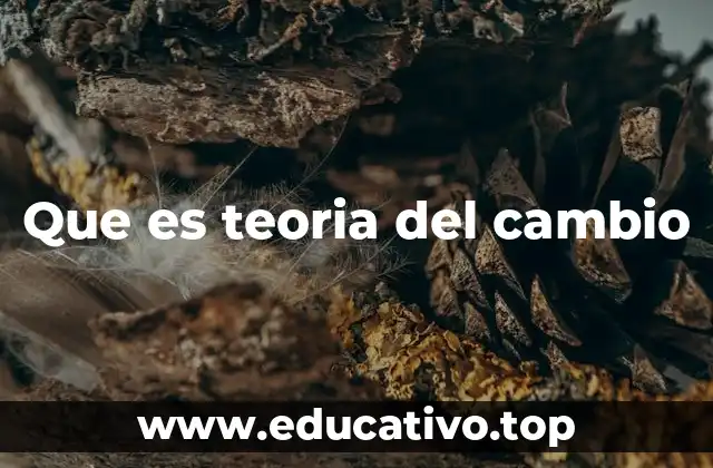 Que es teoria del cambio