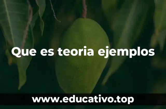 Que es teoria ejemplos