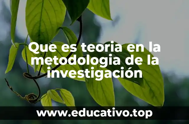 Que es teoria en la metodologia de la investigación