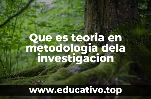 Que es teoria en metodologia dela investigacion