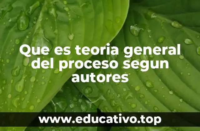 Que es teoria general del proceso segun autores