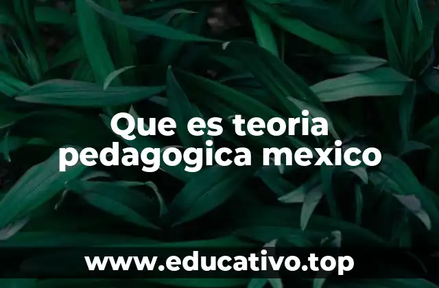 Que es teoria pedagogica mexico