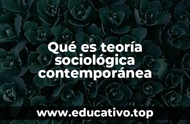 Qué es teoría sociológica contemporánea