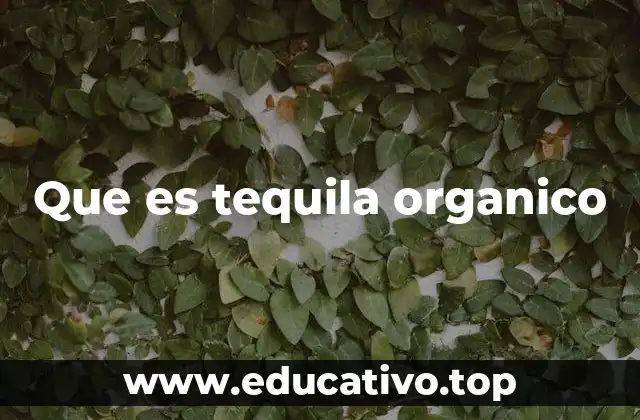 Que es tequila organico