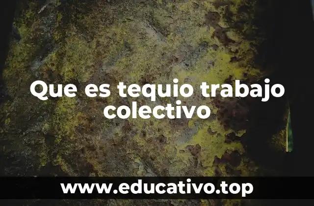 Que es tequio trabajo colectivo